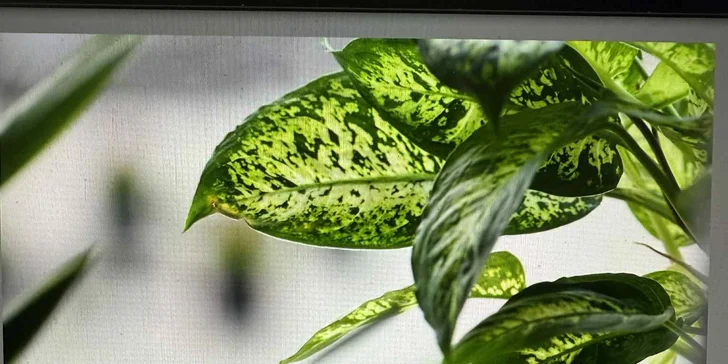 Autentické chutě Indie: Dárkové vouchery do nové indické restaurace a baru v srdci Budějovic