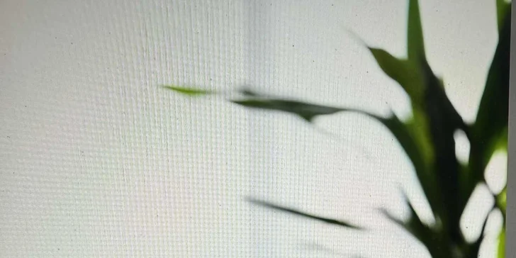 Autentické chutě Indie: Dárkové vouchery do nové indické restaurace a baru v srdci Budějovic