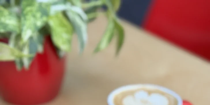 200–400 Kč na cokoliv v kavárně Artovna v uměleckém centru v Budějovicích