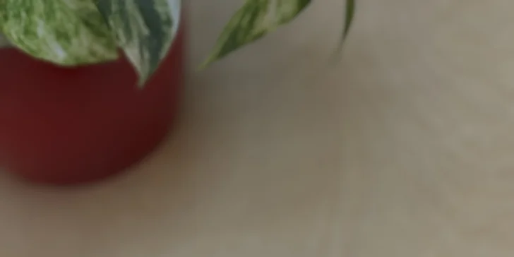 200–400 Kč na cokoliv v kavárně Artovna v uměleckém centru v Budějovicích