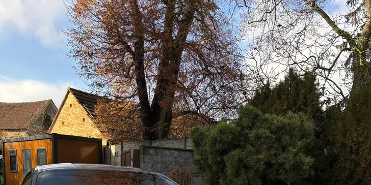 Detailní čištění auta: interiér vč. tepování, exteriér, ozon i kompletní balíček