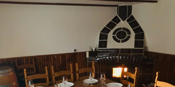 Celovečerní řízená degustace 8 vín v Lednicko-valtickém areálu i studený raut