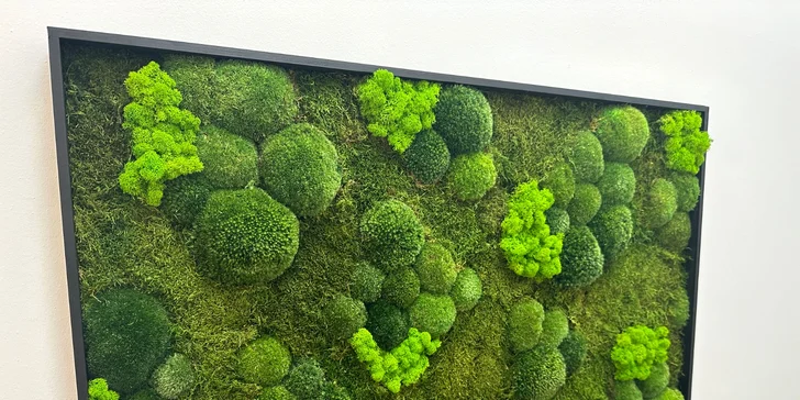 Workshop výroby mechového obrazu pro 1, 2 nebo 4 osoby