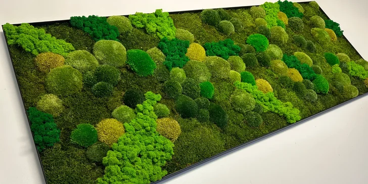 Workshop výroby mechového obrazu pro 1, 2 nebo 4 osoby