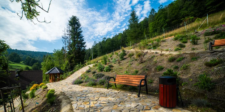 Pobyt se stravou a wellness blízko Chodníku korunami stromů Bachledka: slevy na vstupy i skipasy
