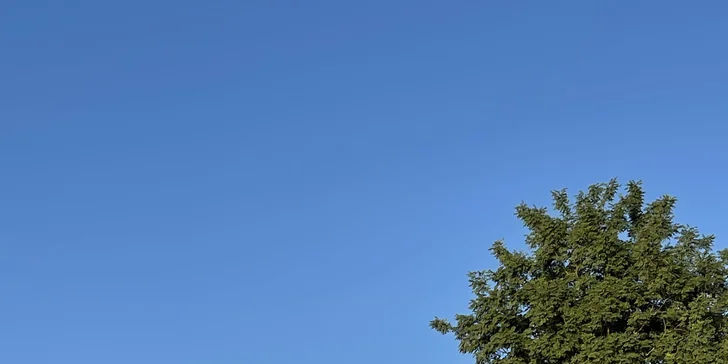 Celovečerní řízená degustace 8 vín v Lednicko-valtickém areálu i studený raut