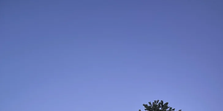 Celovečerní řízená degustace 8 vín v Lednicko-valtickém areálu i studený raut