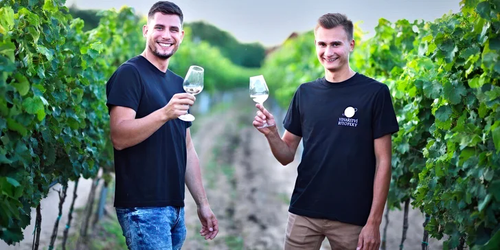 Celovečerní řízená degustace 8 vín v Lednicko-valtickém areálu i studený raut