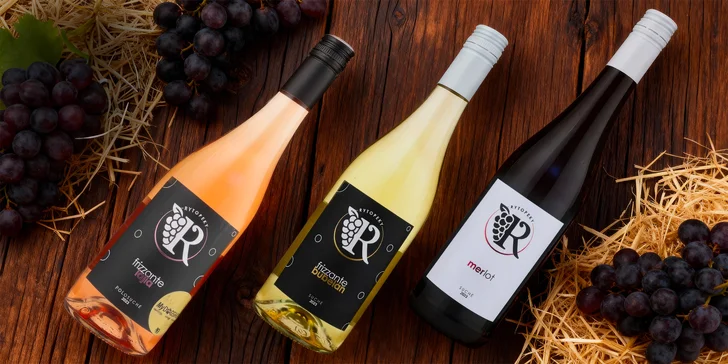 Celovečerní řízená degustace 8 vín v Lednicko-valtickém areálu i studený raut