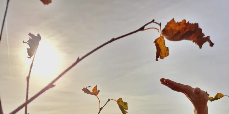 Relax i doplnění energie: regenerační masáže, maderoterapie i zážitkové rituály