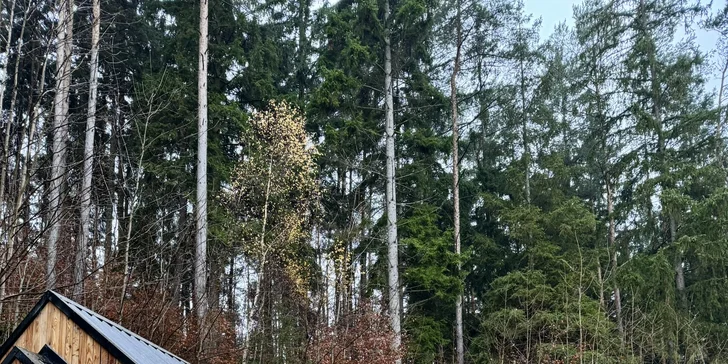 Relax ve Svojanově: tiny house Malý gurmán, vč. finské sauny a možnosti snídaně