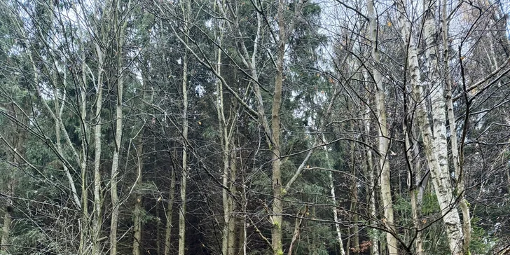 Relax ve Svojanově: tiny house Malý gurmán, vč. finské sauny a možnosti snídaně