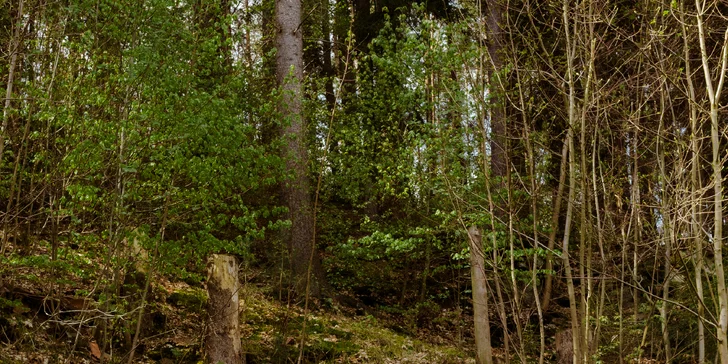 Relax ve Svojanově: tiny house Malý gurmán, vč. finské sauny a možnosti snídaně
