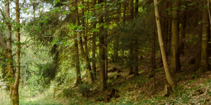 Relax ve Svojanově: tiny house Malý gurmán, vč. finské sauny a možnosti snídaně