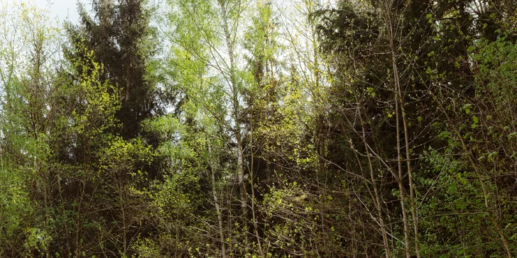 Relax ve Svojanově: tiny house Malý gurmán, vč. finské sauny a možnosti snídaně