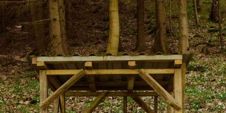 Relax ve Svojanově: tiny house Malý gurmán, vč. finské sauny a možnosti snídaně