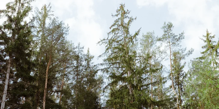 Relax ve Svojanově: tiny house Malý gurmán, vč. finské sauny a možnosti snídaně