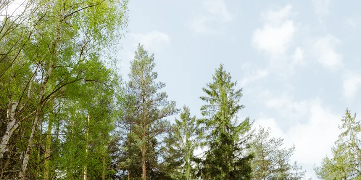 Relax ve Svojanově: tiny house Malý gurmán, vč. finské sauny a možnosti snídaně