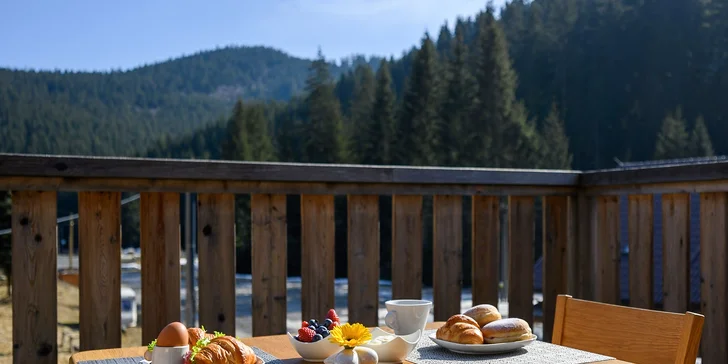 Luxusní apartmán v Beskydech na Bílé: až pro 4 osoby, vč. finské sauny