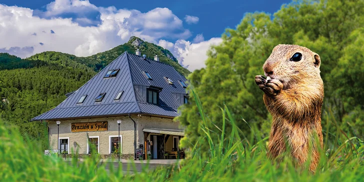 Rodinný penzion kousek od národního parku Muráňská planina: snídaně a privátní wellness