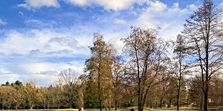 Projížďka na koni v přírodě u Českých Budějovic: 2,5 hod. pro 1 osobu