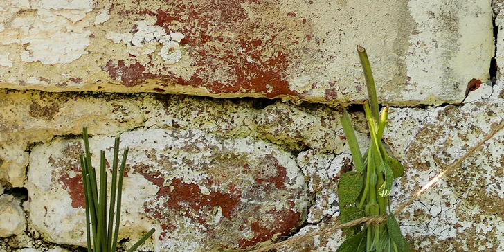 Kurz výroby bylinných čajů vč. ochutnávky, pro 1 nebo 2 osoby