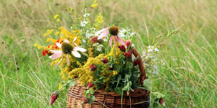 Kurz výroby bylinných čajů vč. ochutnávky, pro 1 nebo 2 osoby