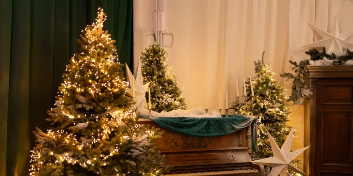 Vánoční kino Sunset cinema: 2 či 4 vstupenky na film dle výběru