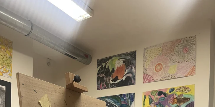 Vyrobte si vlastní originál: 3h workshop malování akrylem v Brně