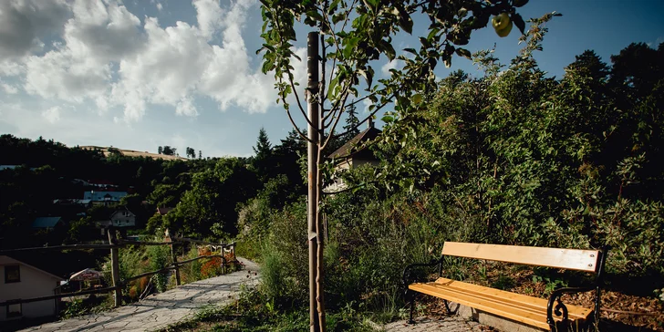 Pobyt uprostřed vesničky Štiavnické Bane se stravou i wellness