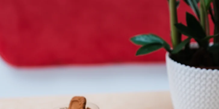 200–400 Kč na cokoliv v kavárně Artovna v uměleckém centru v Budějovicích