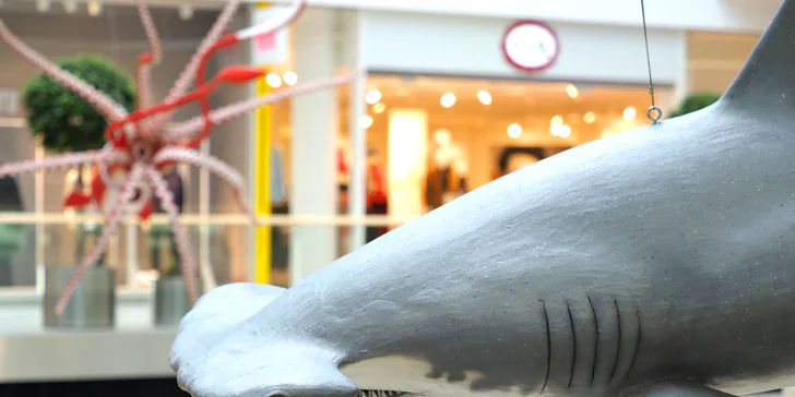 Vstupy na výstavu Obři oceánů v OC Westfield na Černém Mostě