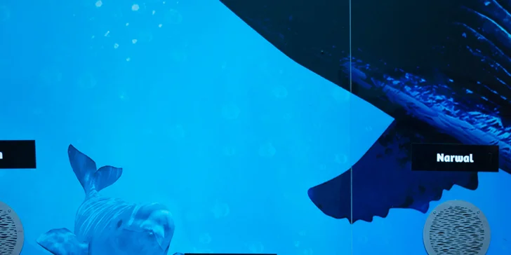 Vstupy na výstavu Obři oceánů v OC Westfield na Černém Mostě