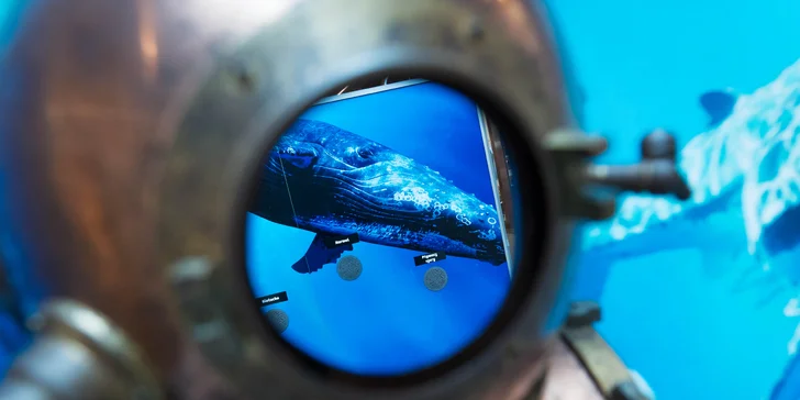 Vstupy na výstavu Obři oceánů v OC Westfield na Černém Mostě