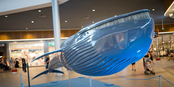 Vstupy na výstavu Obři oceánů v OC Westfield na Černém Mostě