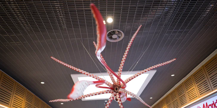 Vstupy na výstavu Obři oceánů v OC Westfield na Černém Mostě