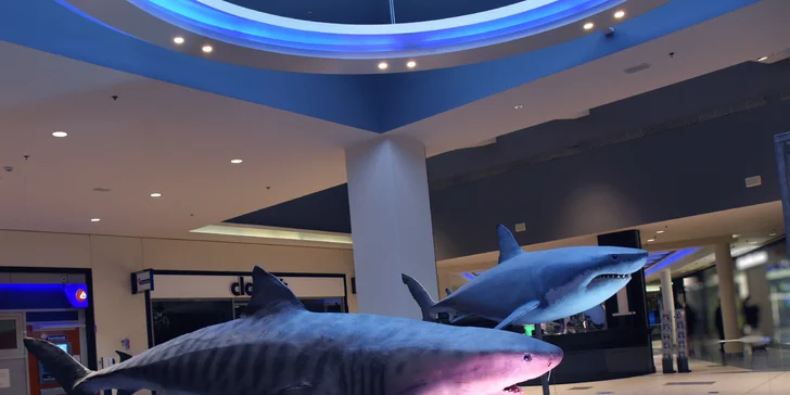 Vstupy na výstavu Obři oceánů v OC Westfield na Černém Mostě