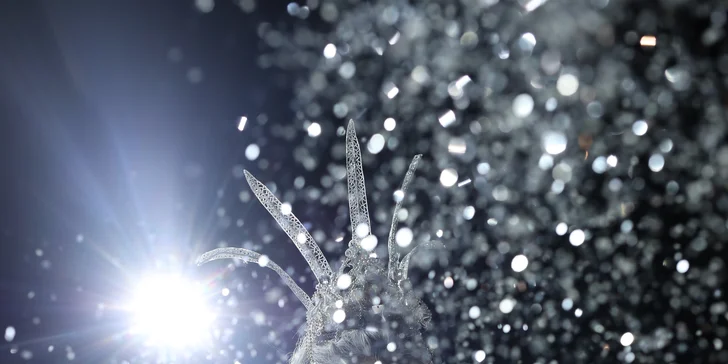 Vstupenka na pohádkový muzikál na ledě Sněhová královna