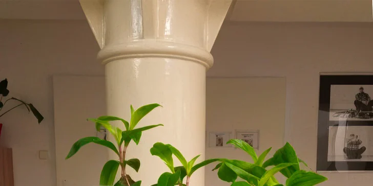 Relaxační masáž zad a šíje v délce 40 min. od nevidomé masérky