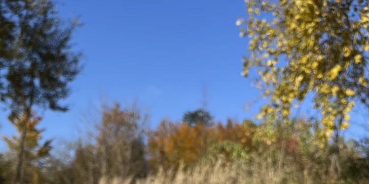 Moravský kras: nádherné ubytování v přírodě s polopenzí i vínem a privátním wellness