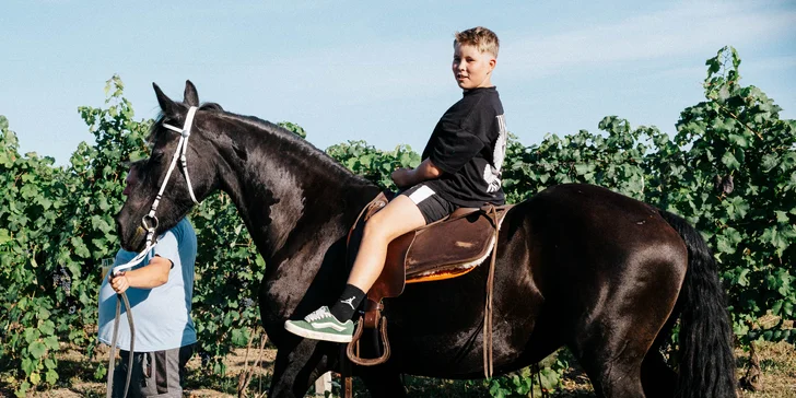 Glamping ve Velkých Pavlovicích přímo u vinice s výhledem na Pálavu