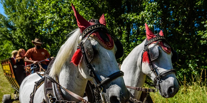 Dovolená na ranči v Novém Tekově: Koně, polopenze, bowling i wellness