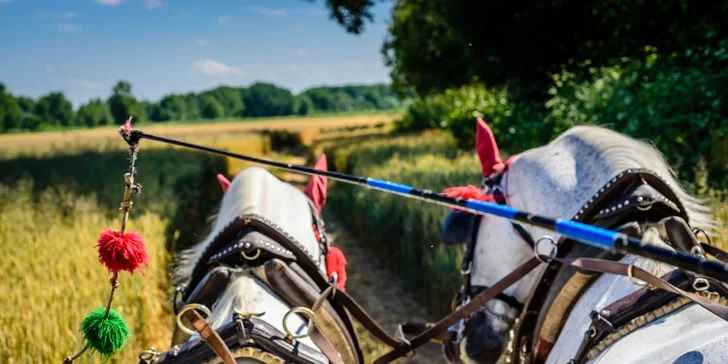 Dovolená na ranči v Novém Tekově: Koně, polopenze, bowling i wellness