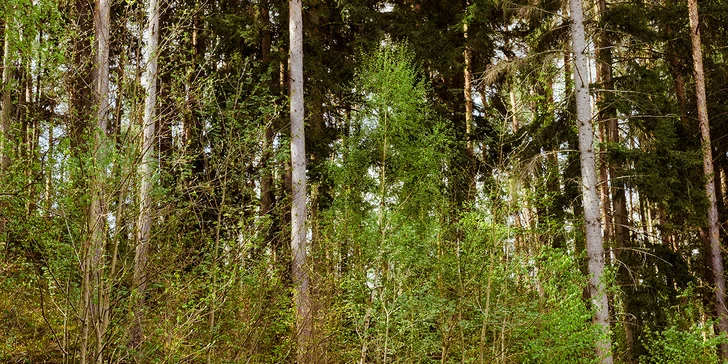 Relax ve Svojanově: tiny house Malý gurmán, vč. finské sauny a možnosti snídaně