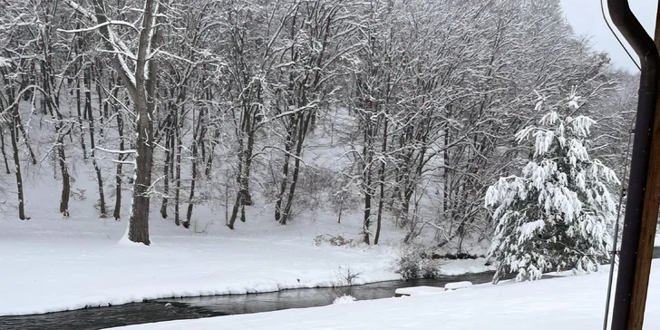 Wellness apartmán přímo na hranici Brd pro pár i rodinu s venkovní vířivkou i infrasaunou