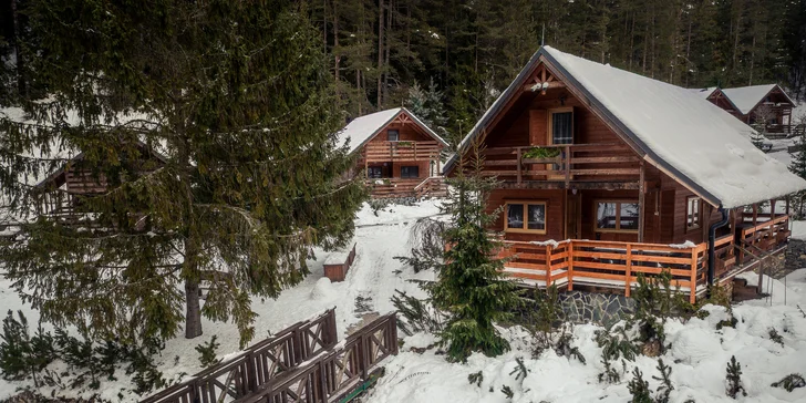 Lopušná Dolina pod Tatrami: pobyt v pokojích nebo chatce s wellness a možností stravování