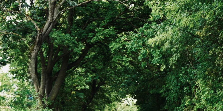 Pronájem sportovního vozu Audi TT: zážitková jízda až na 72 hodin