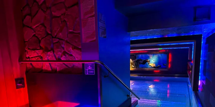 Romantika v Žilině se sektem, polopenzí a neomezeným vstupem do wellness pro dva