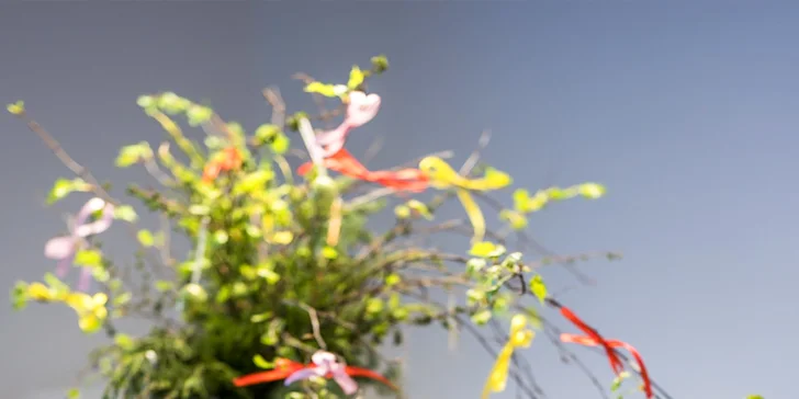 Vrbno pod Pradědem: luxusní apartmánový dům pro 10 osob, 7 km od Karlovy Studánky