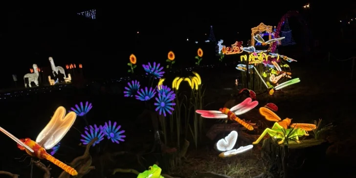 Vstupenky do Winter World: světelná pohádková zahrada, atrakce v ceně